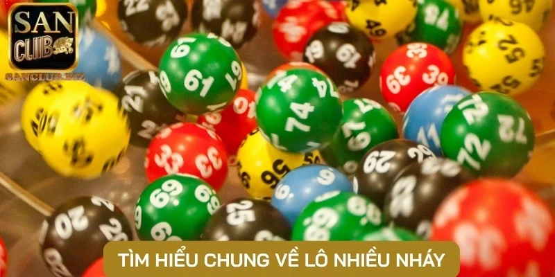 Tìm hiểu chung về lô nhiều nháy